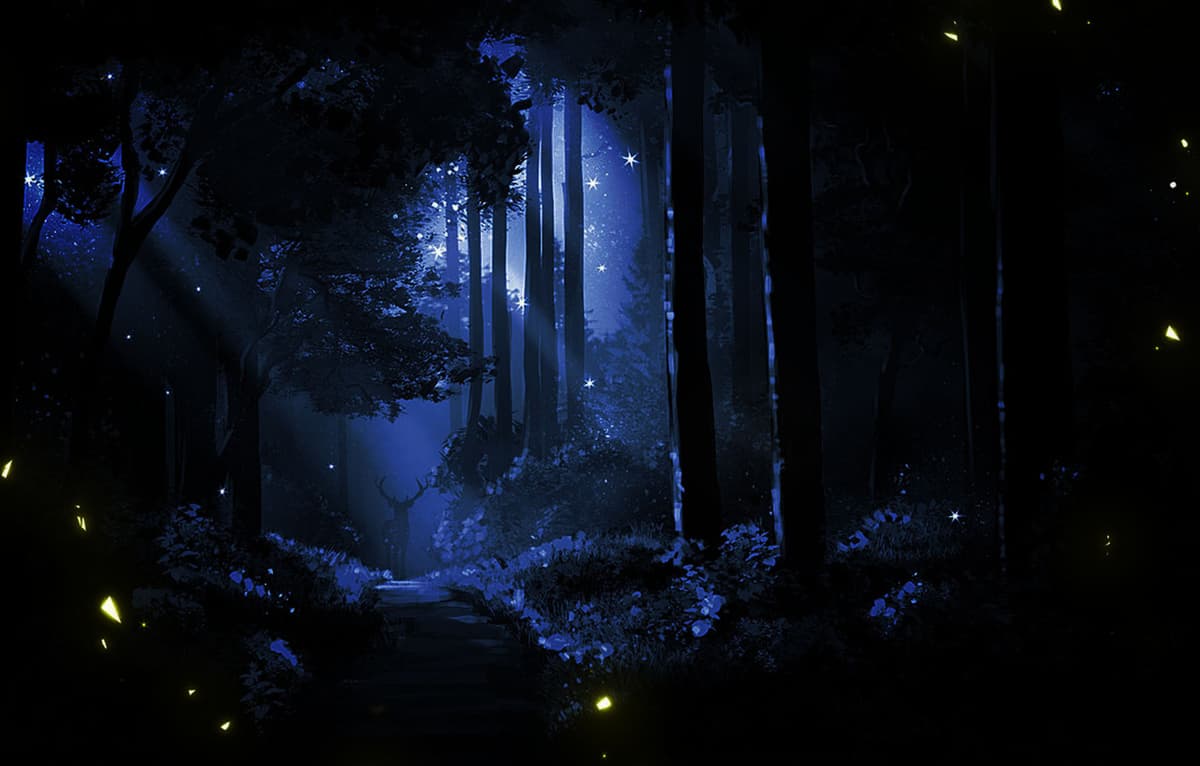 Night Forest