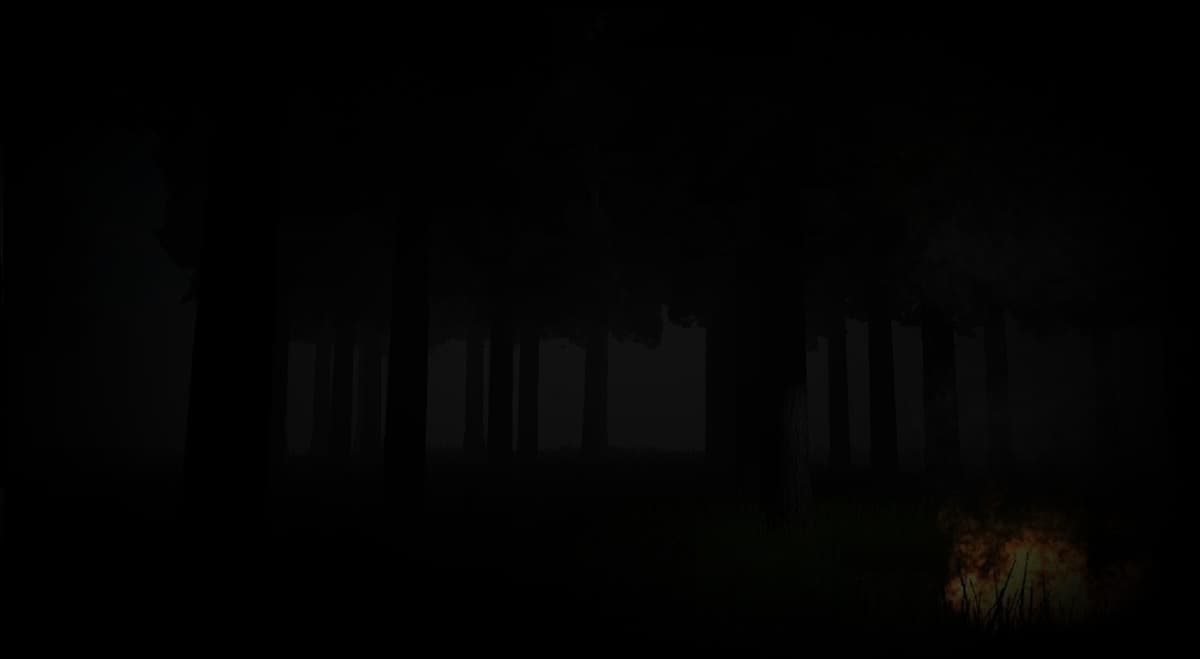 Bonfire Night
