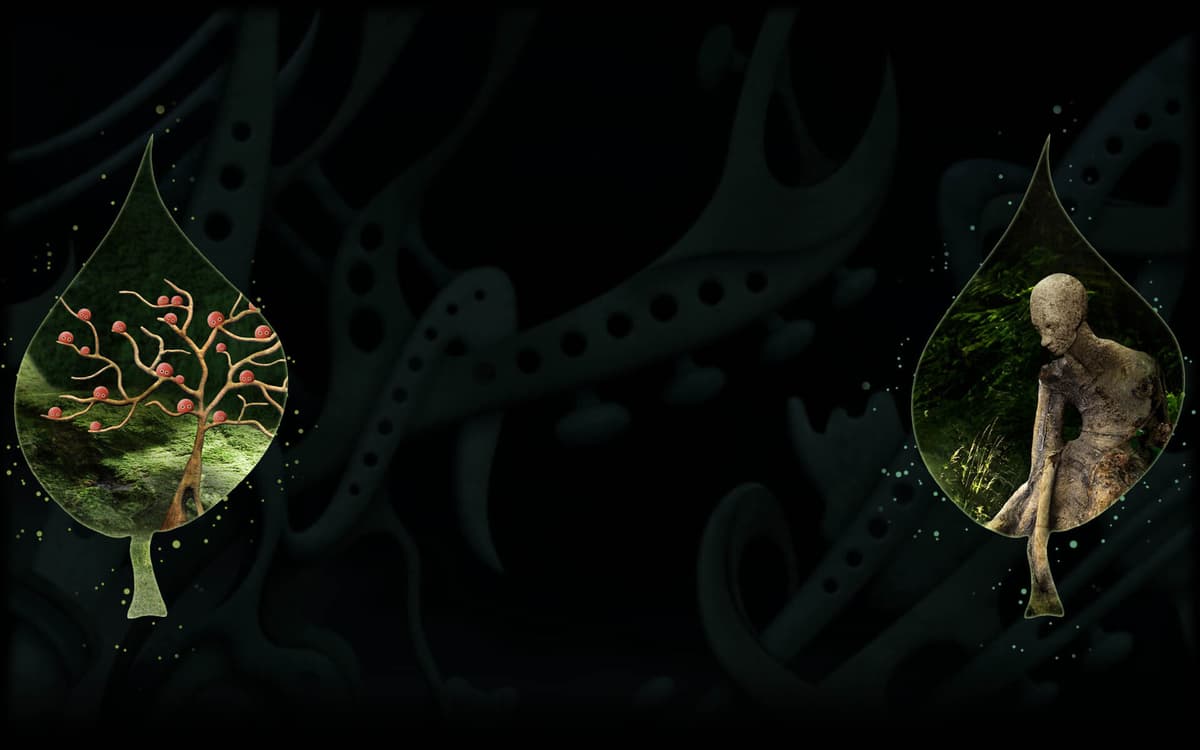 Forest (Profile Background)