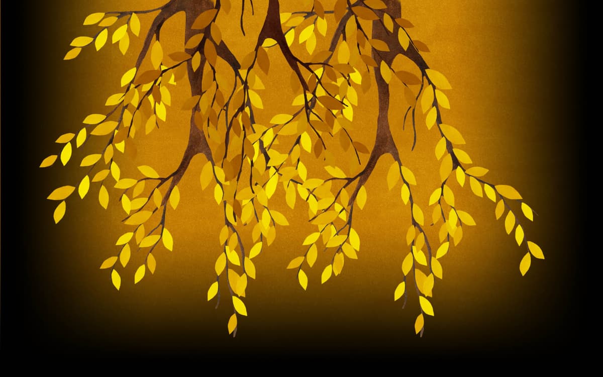 Forest (Profile Background)