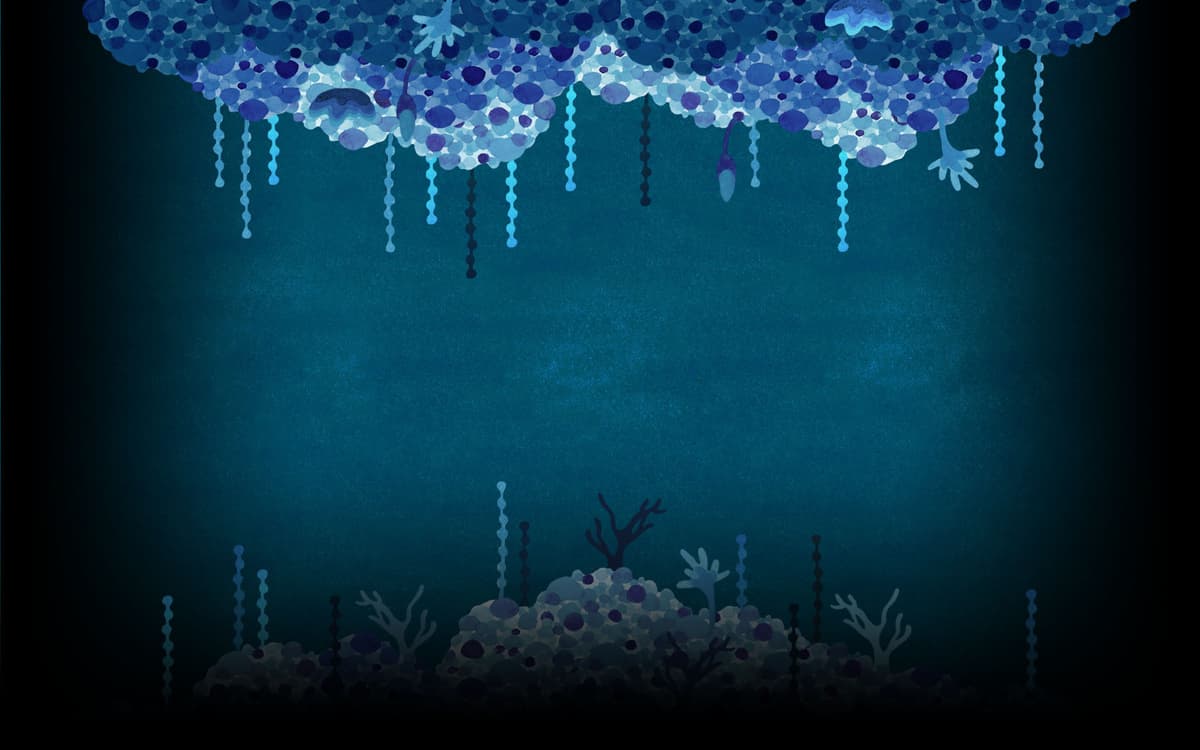 Sea (Profile Background)