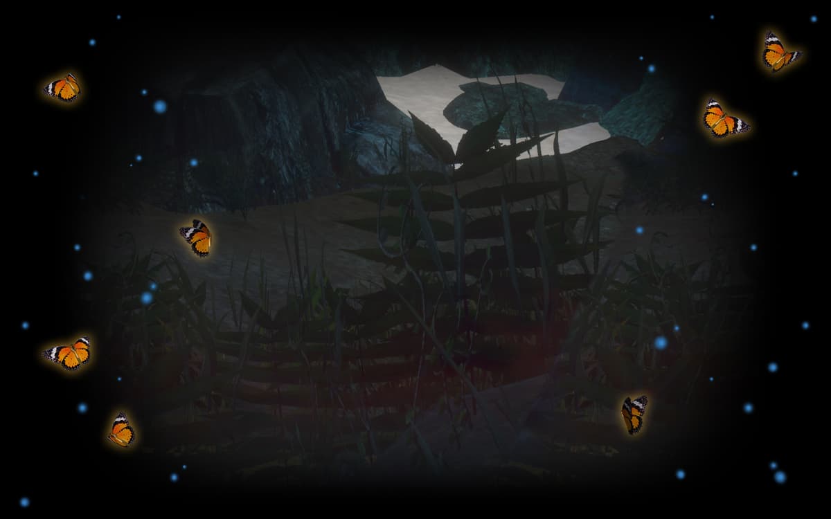 Exotic butterflies (Profile Background)