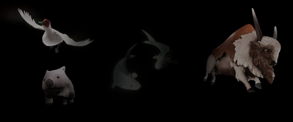 Animal Variety