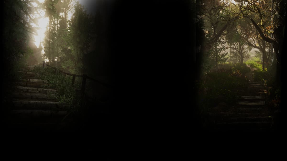 The path in the woods
