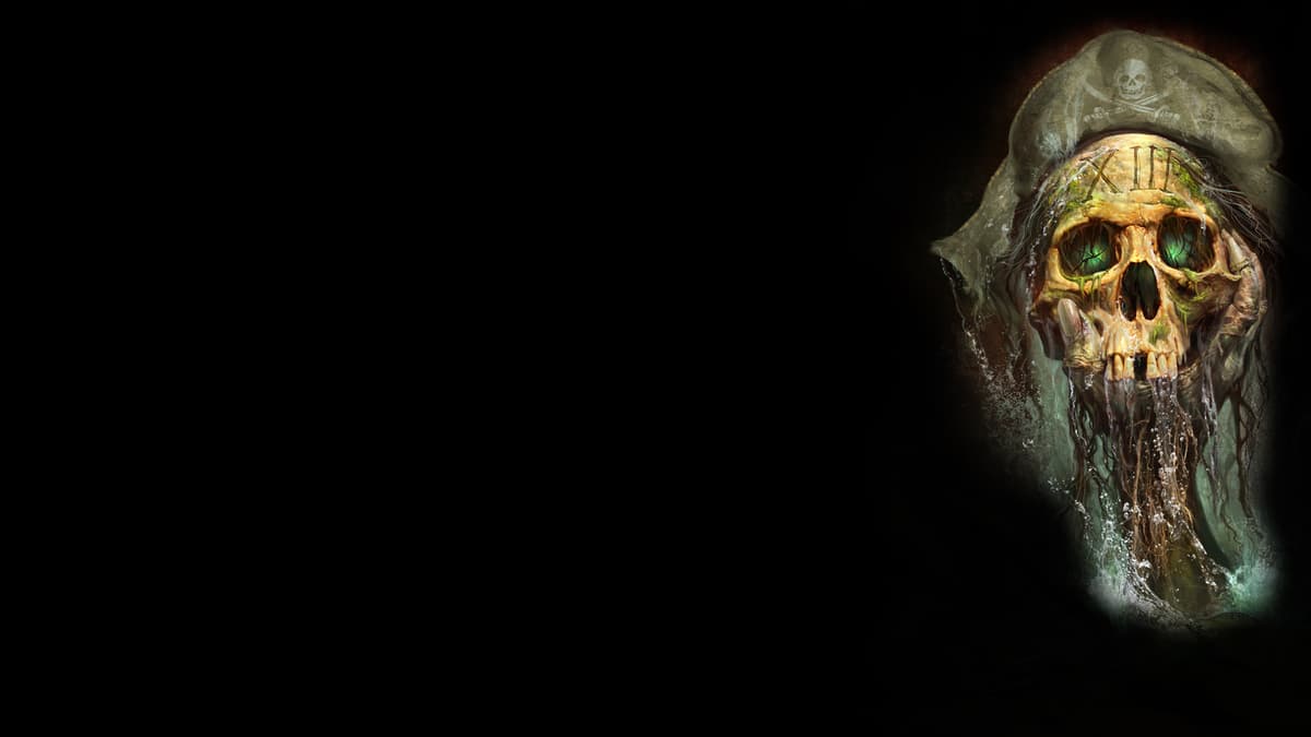 13th Skull (Profile Background)