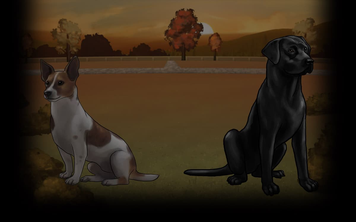 Dogs at Sunset