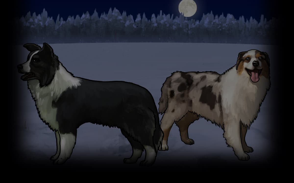 Herding Dogs