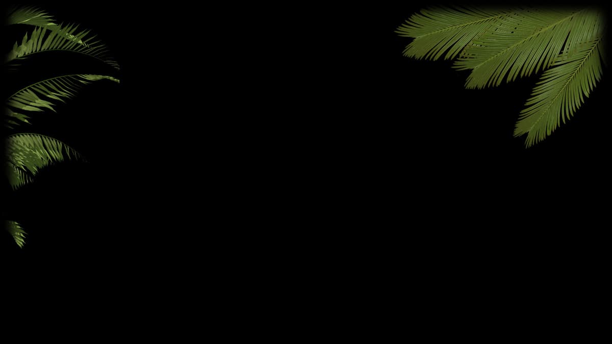 Palm Leaves