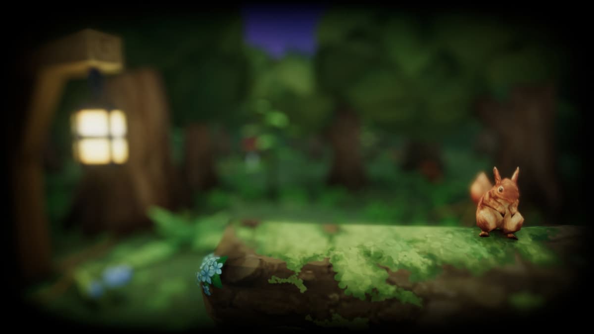 The forest