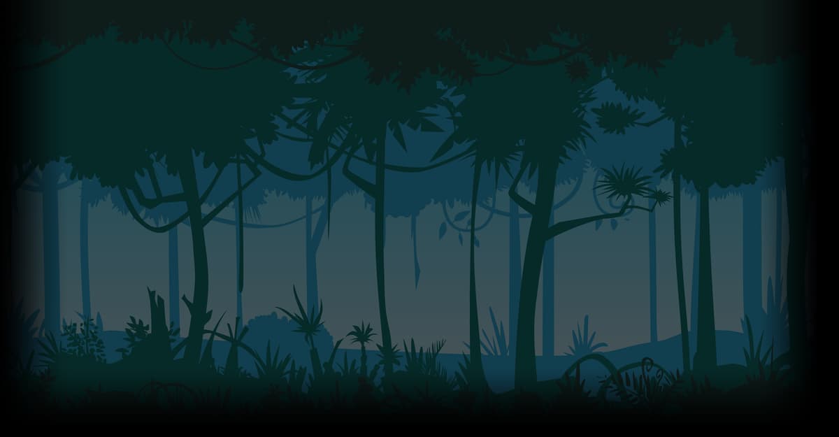 Forest Day