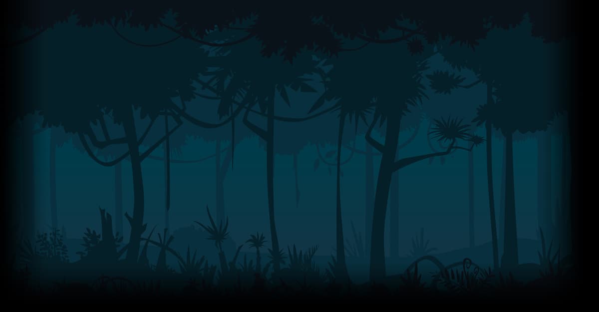 Forest Night