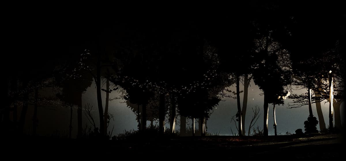 The Woods