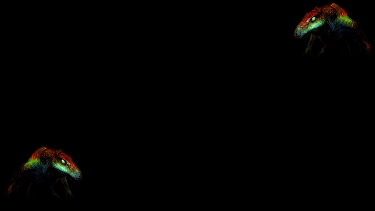 Reptile (Profile Background)