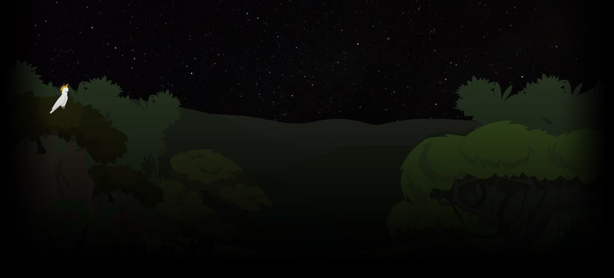 Nightime Jungle
