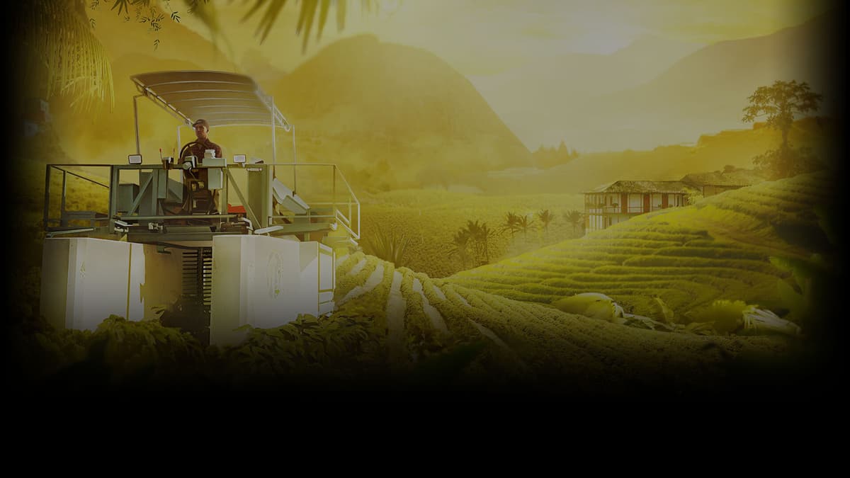 YOUR FARM IN COLOMBIA