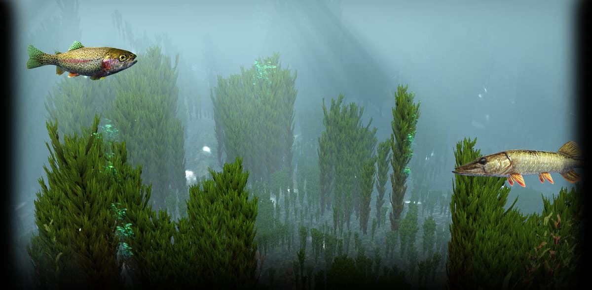 Underwater