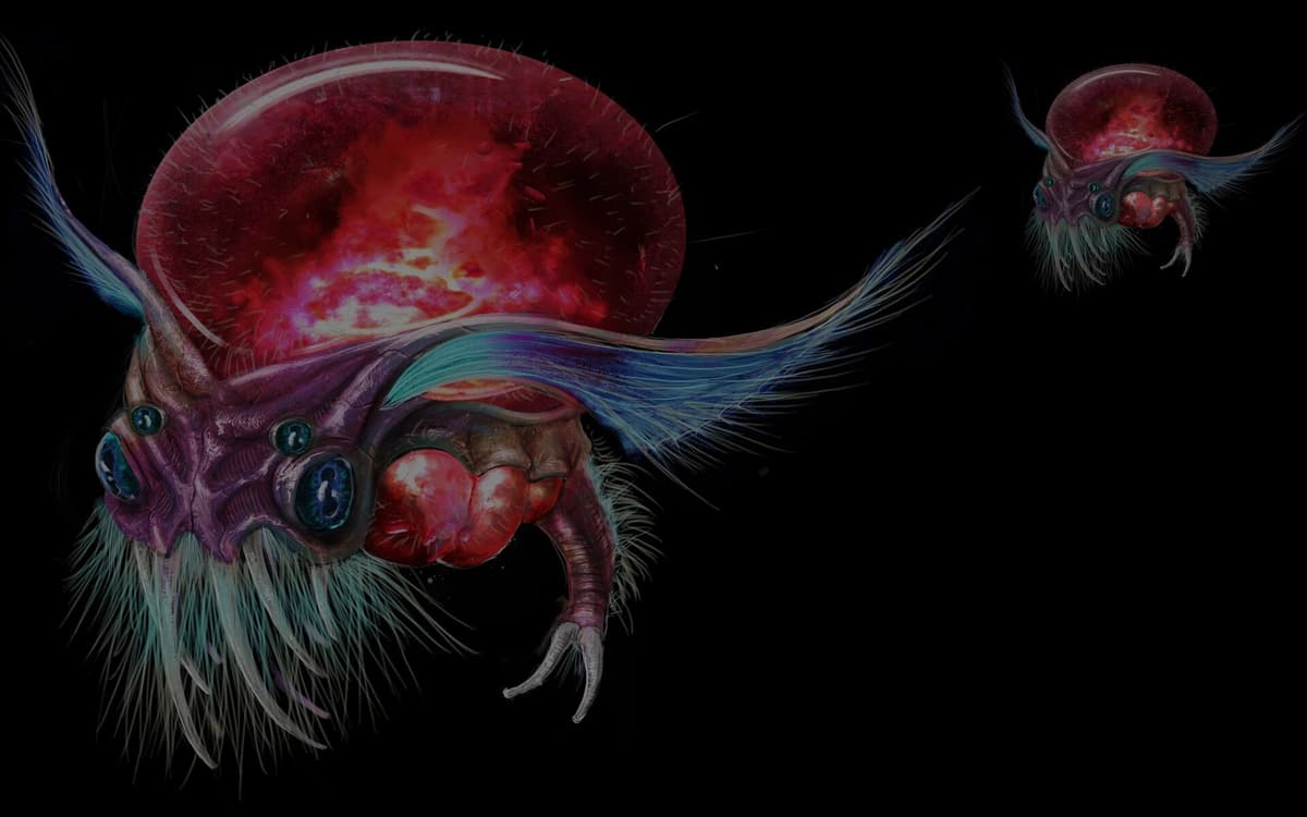 Heart of the Emberstone: Wizgog
