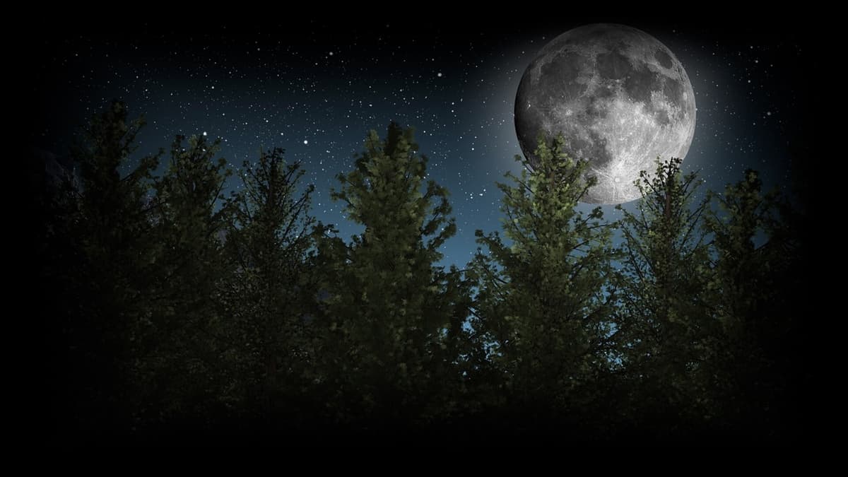 Moon over Greenwood