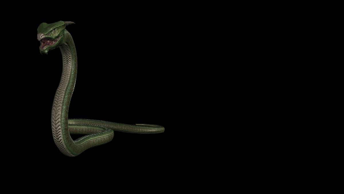 Snake (Profile Background)