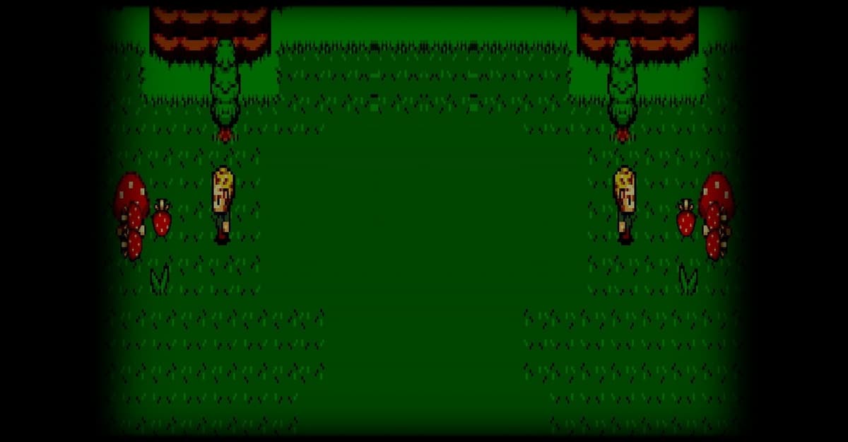 Mushrooms are Everywhere!