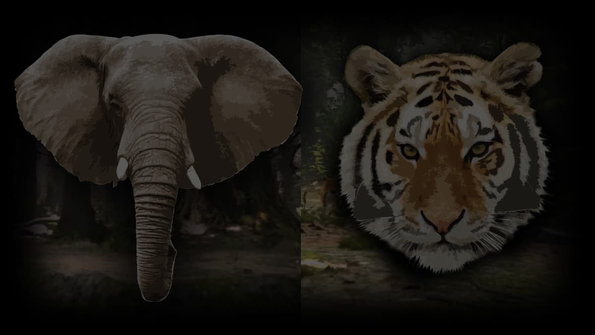 Elephant and Tiger