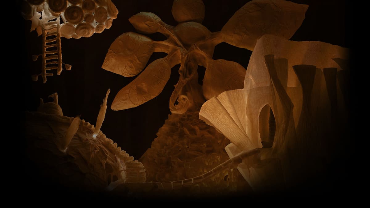 Insides