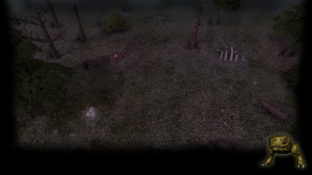 Rayless forest