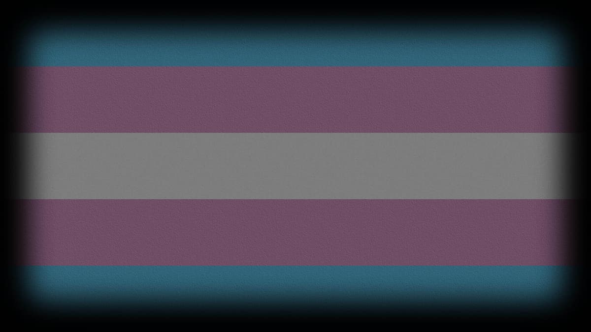 Transgender Pride!