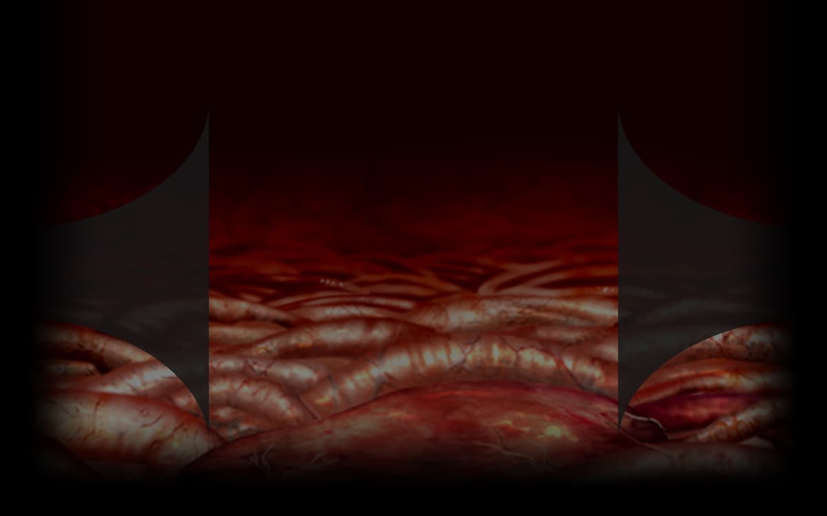 Inside Body