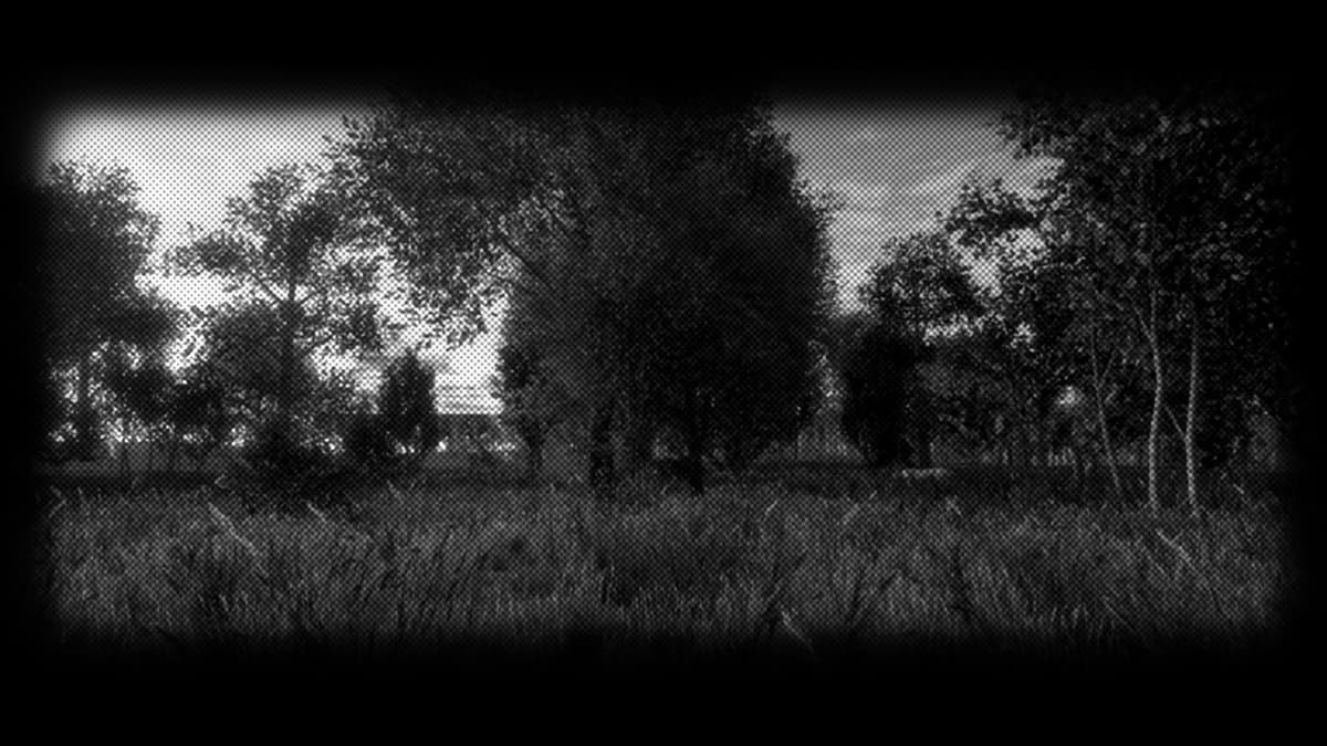 forest