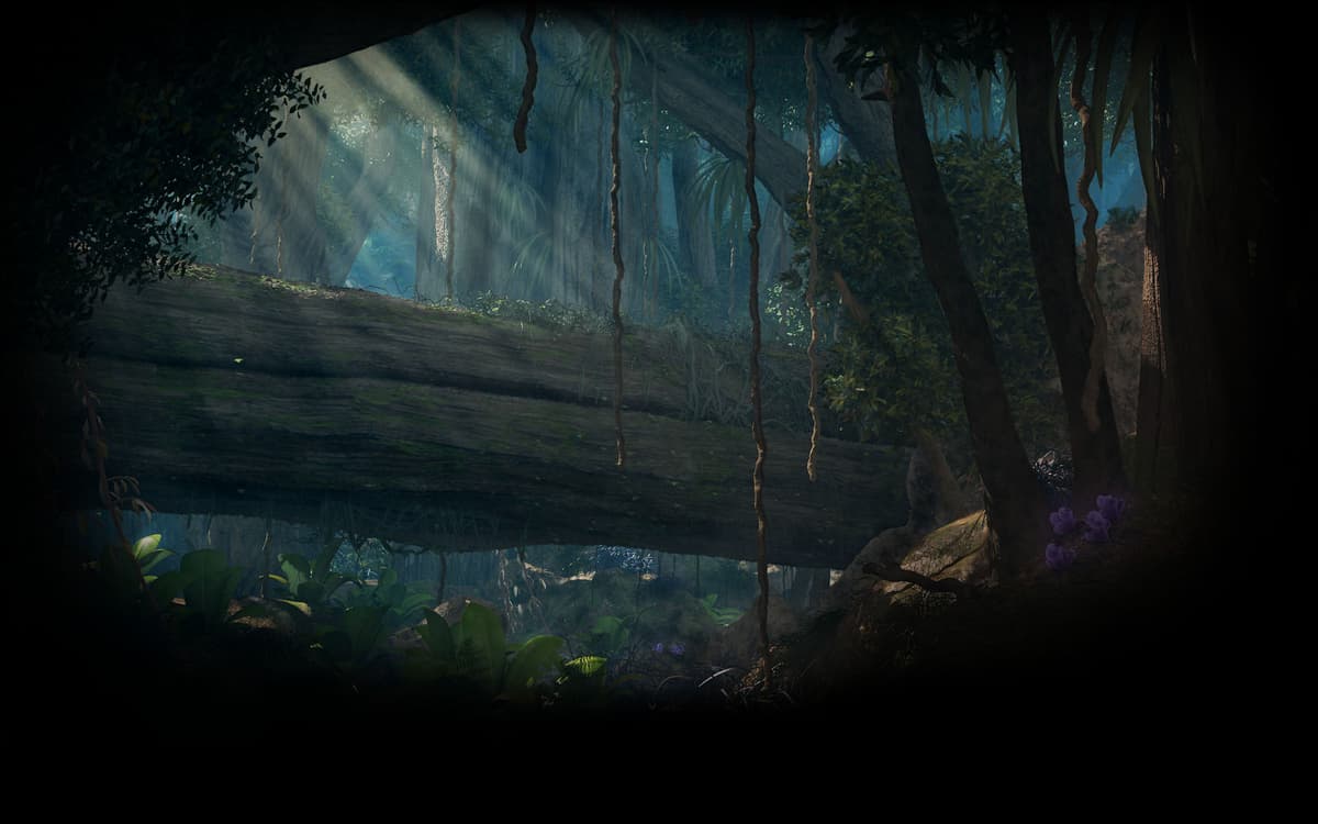 Jungle