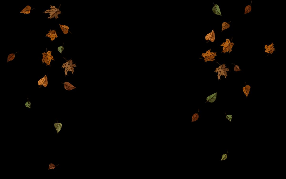 The Fall