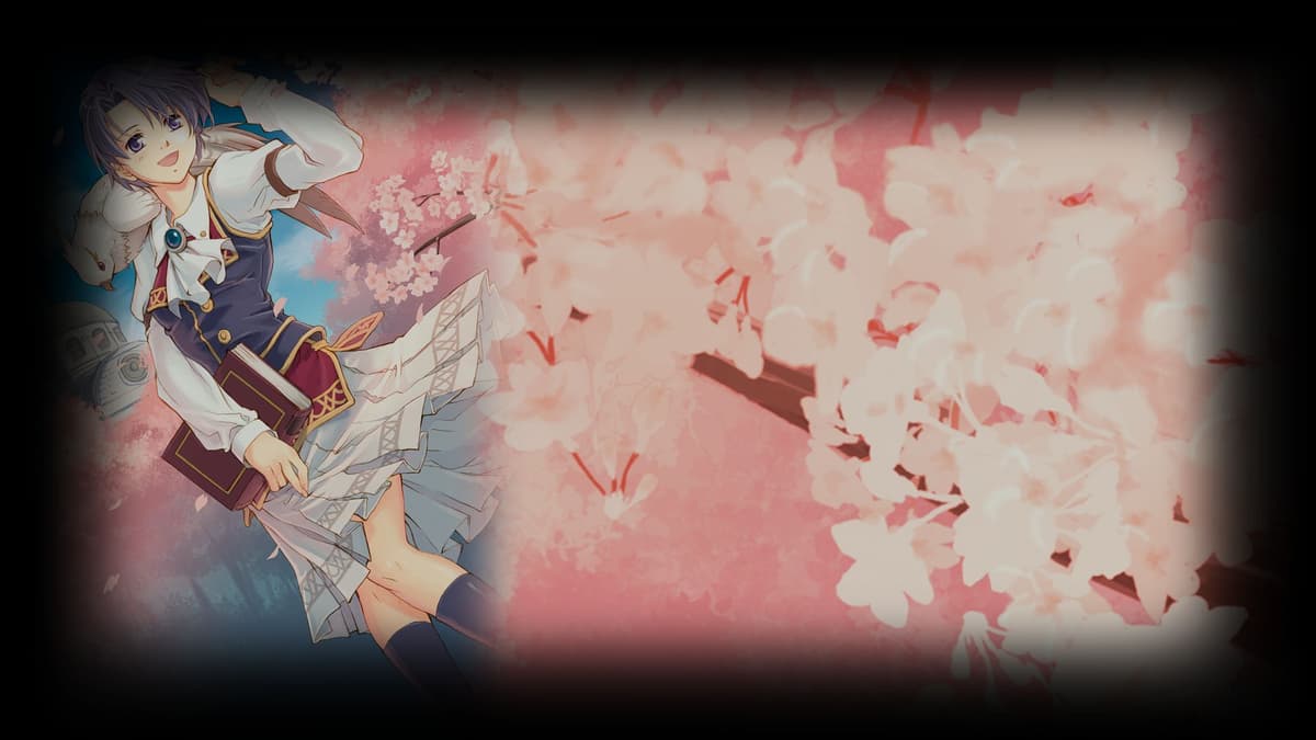 Cherry Blossoms
