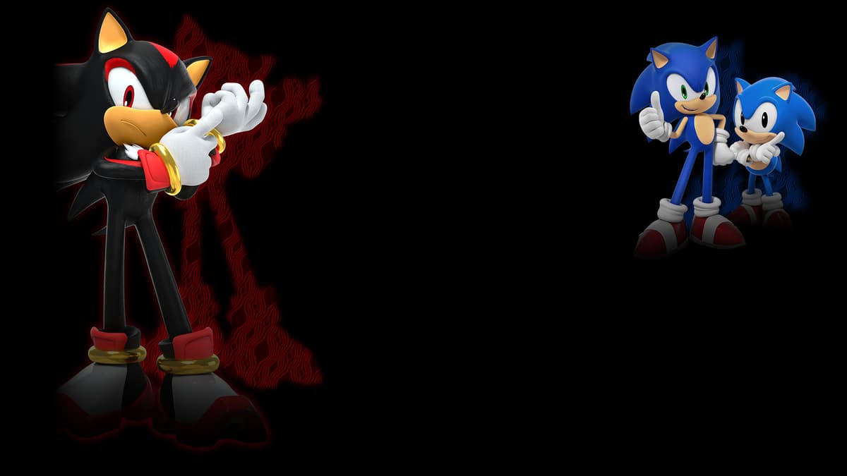 Sonic and Shadow 1