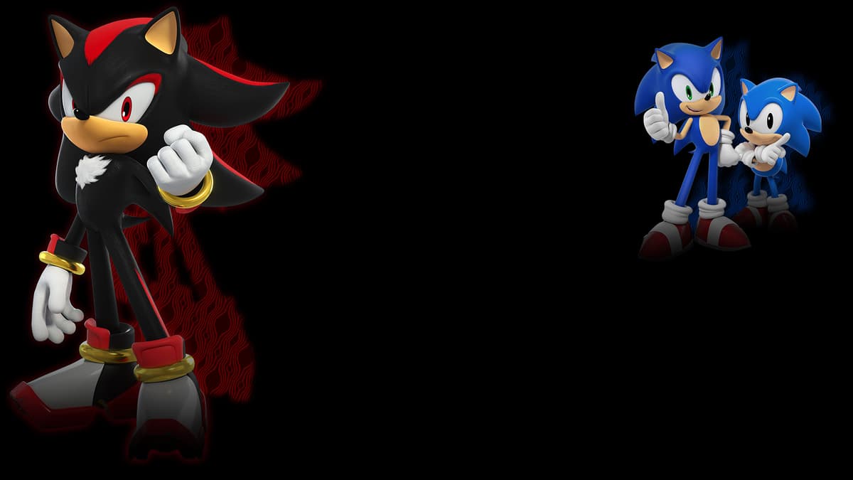 Sonic and Shadow 3