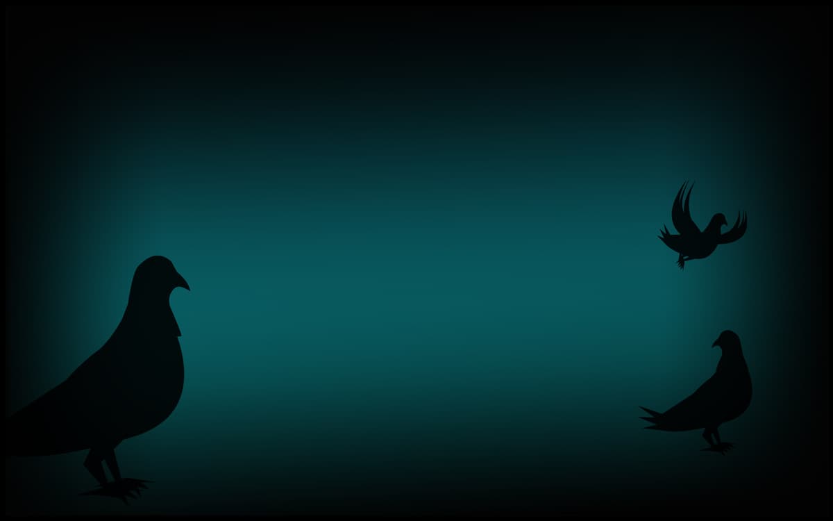 Pigeons at Dusk