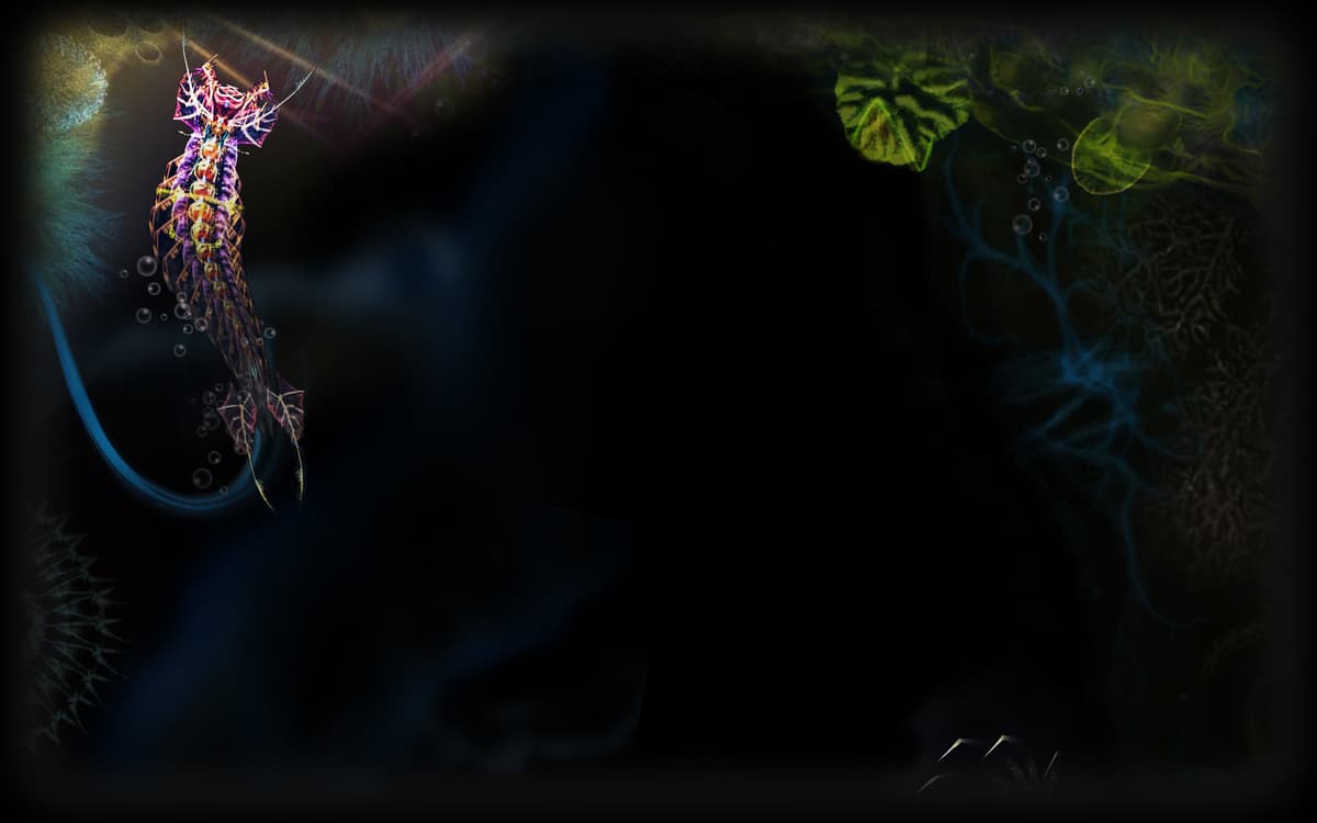 Mysterious Void