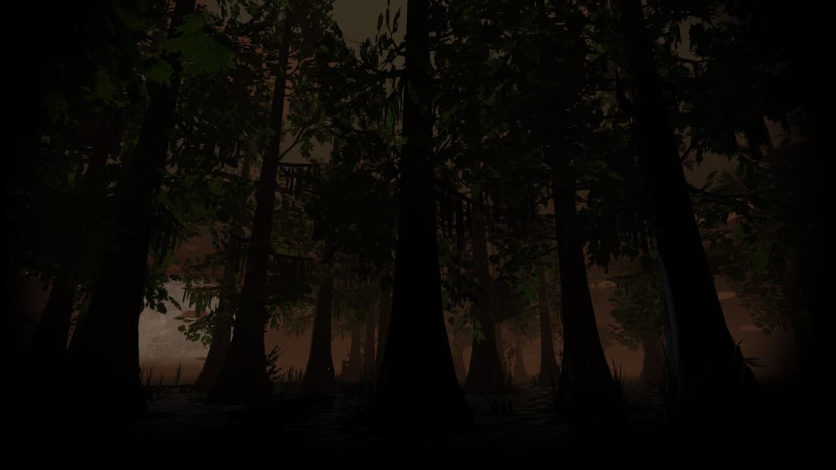 Channelwood at Night