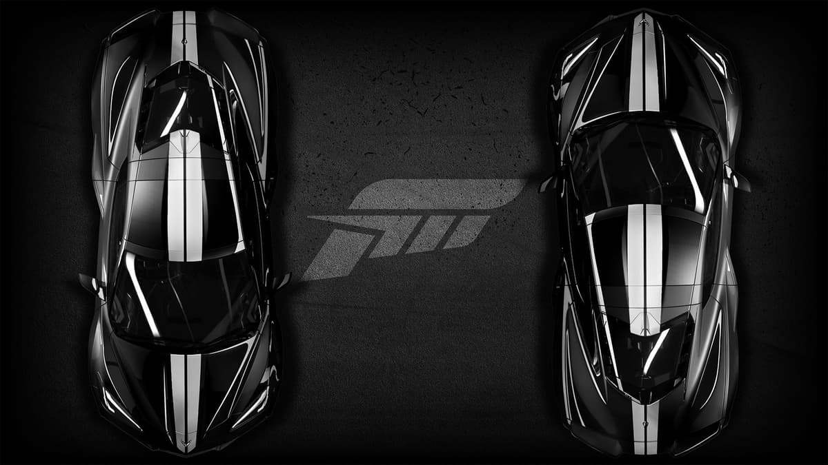 Corvette E-Rays in Black & White
