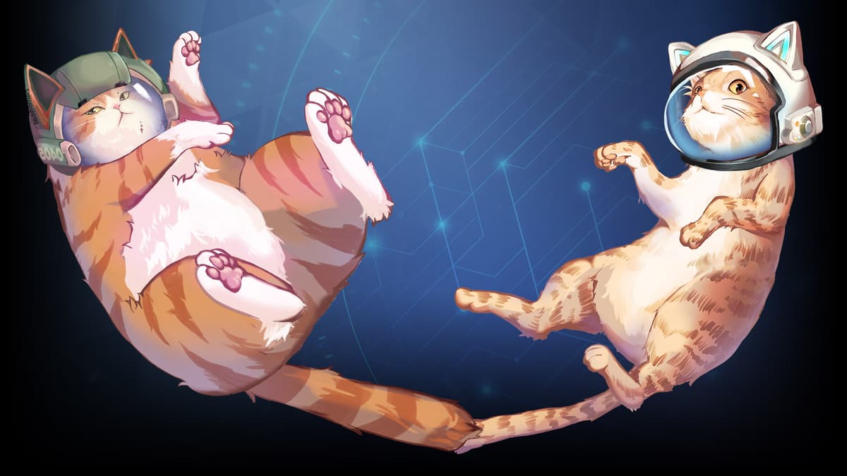 Space Kitty
