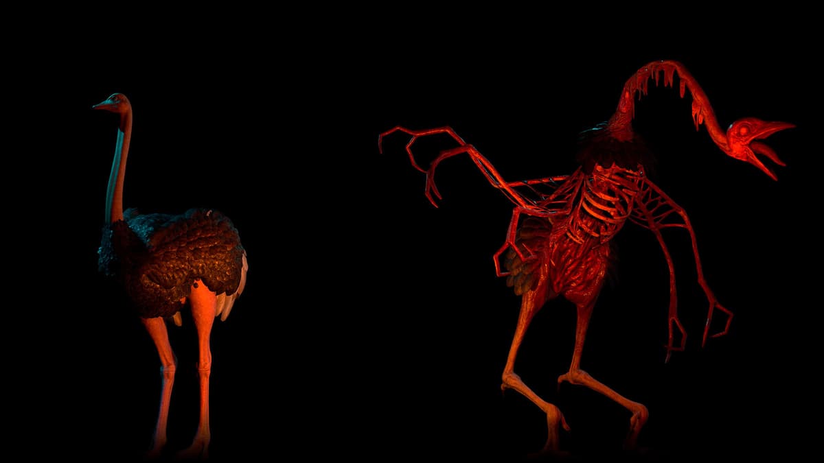 Ostrich