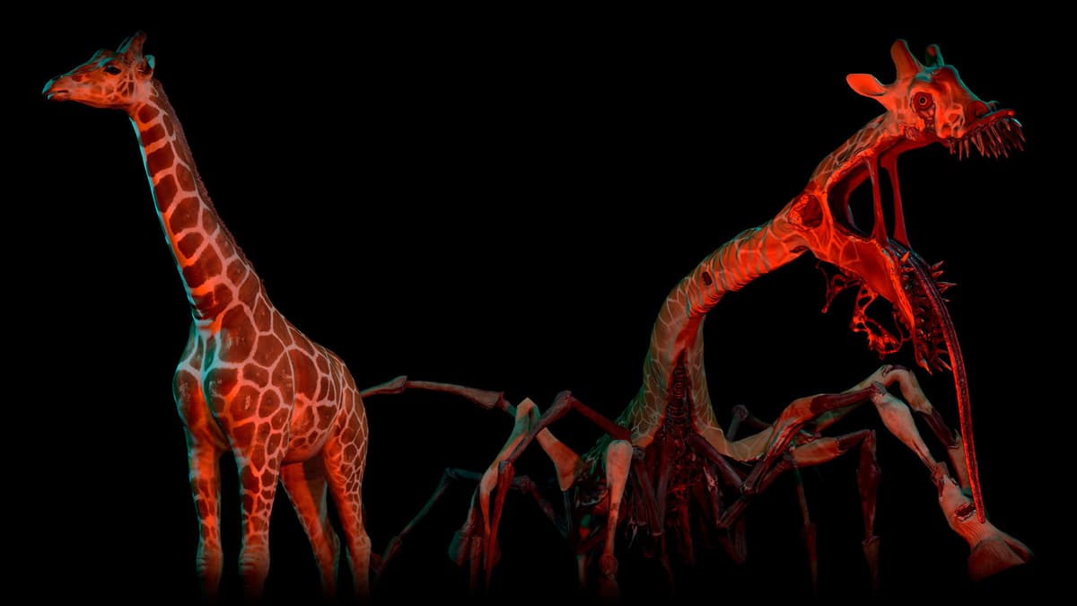 Giraffe