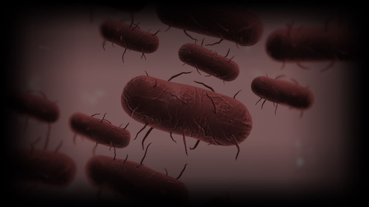 Bacteria Background
