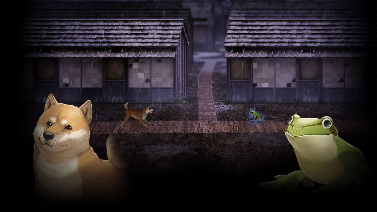 Dog & Frog - AMEDAMA -
