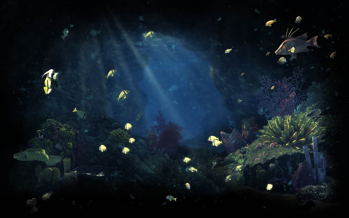 Underwater World - Moray fish