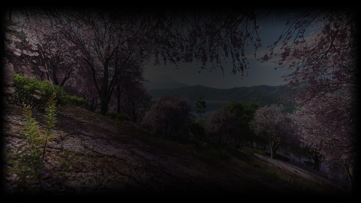 Spring Season