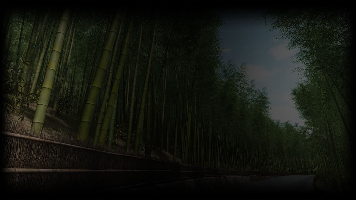 Arashiyama Bamboo Forest
