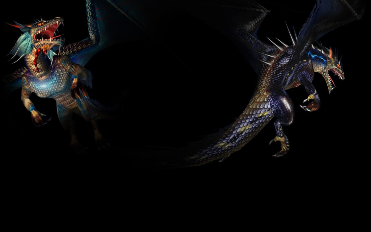 2 Dragons