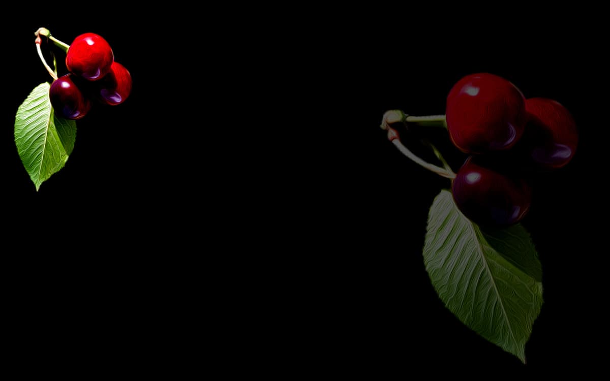 Cherries
