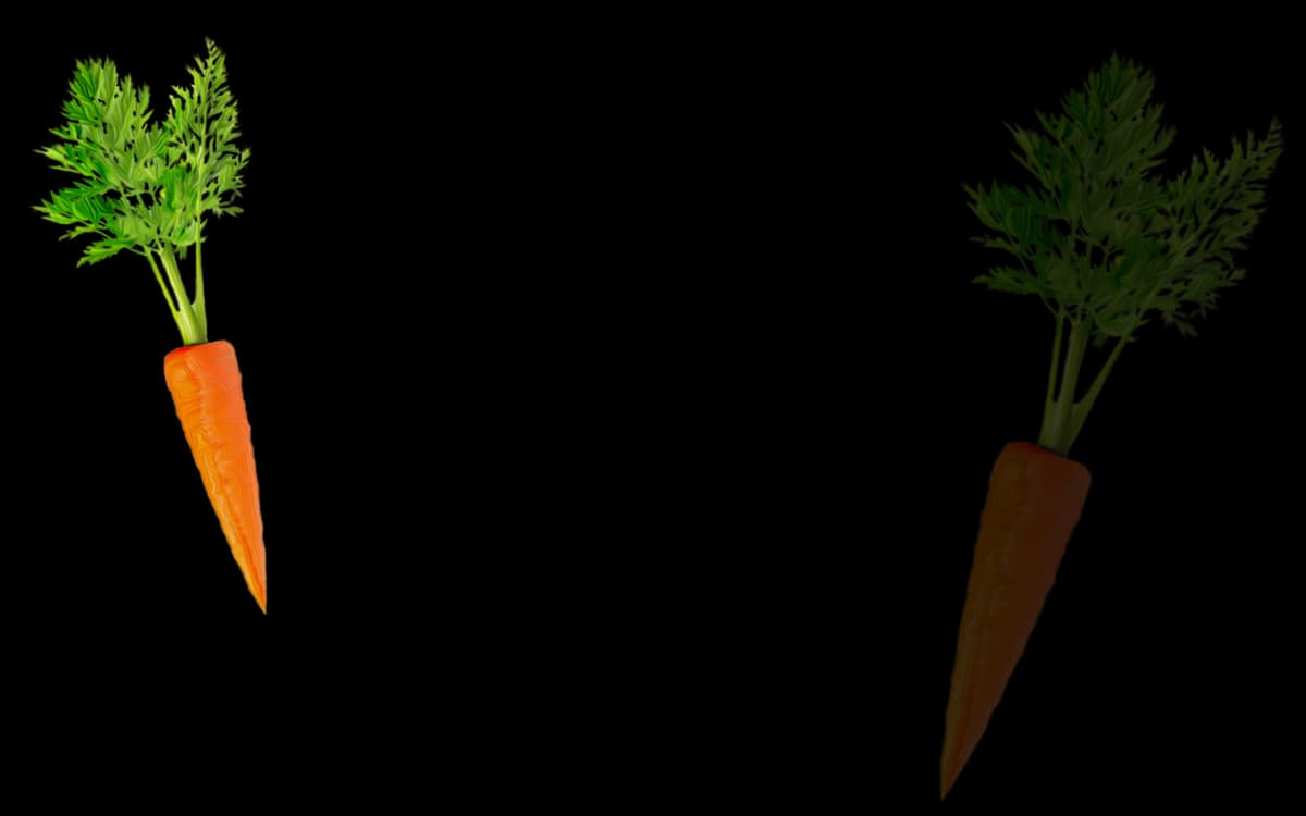 Big Carrot